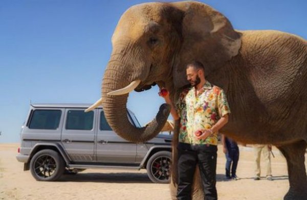 Mercedes G-Class е популярен сред знаменитостите заради своята форма и доста незабележим дизайн в сравнение със супер колите. G65 AMG има мощност 612 к. с. и е офроудър с експлозивен V12 двигател.